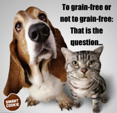 Breaking through the myths of grain-free food, raw diets, and other pet food fads